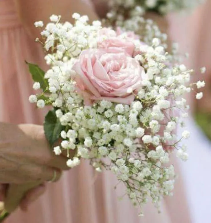 little buds kingscourt wedding