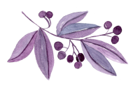 Purple-floral-cropped.png